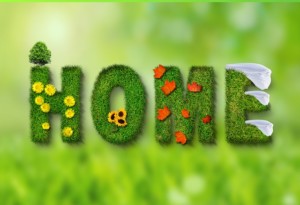 The word "HOME" spelled out in grass-textured letters with a price tag, decorated with flowers, leaves, and white fabric on a green blurred background.