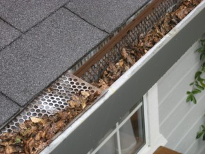A house gutter with a metal guard is partially covered by dry leaves, highlighting the importance of cleaning your gutters to prevent buildup along the unprotected section.
