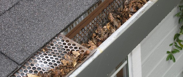 cleaning your gutters