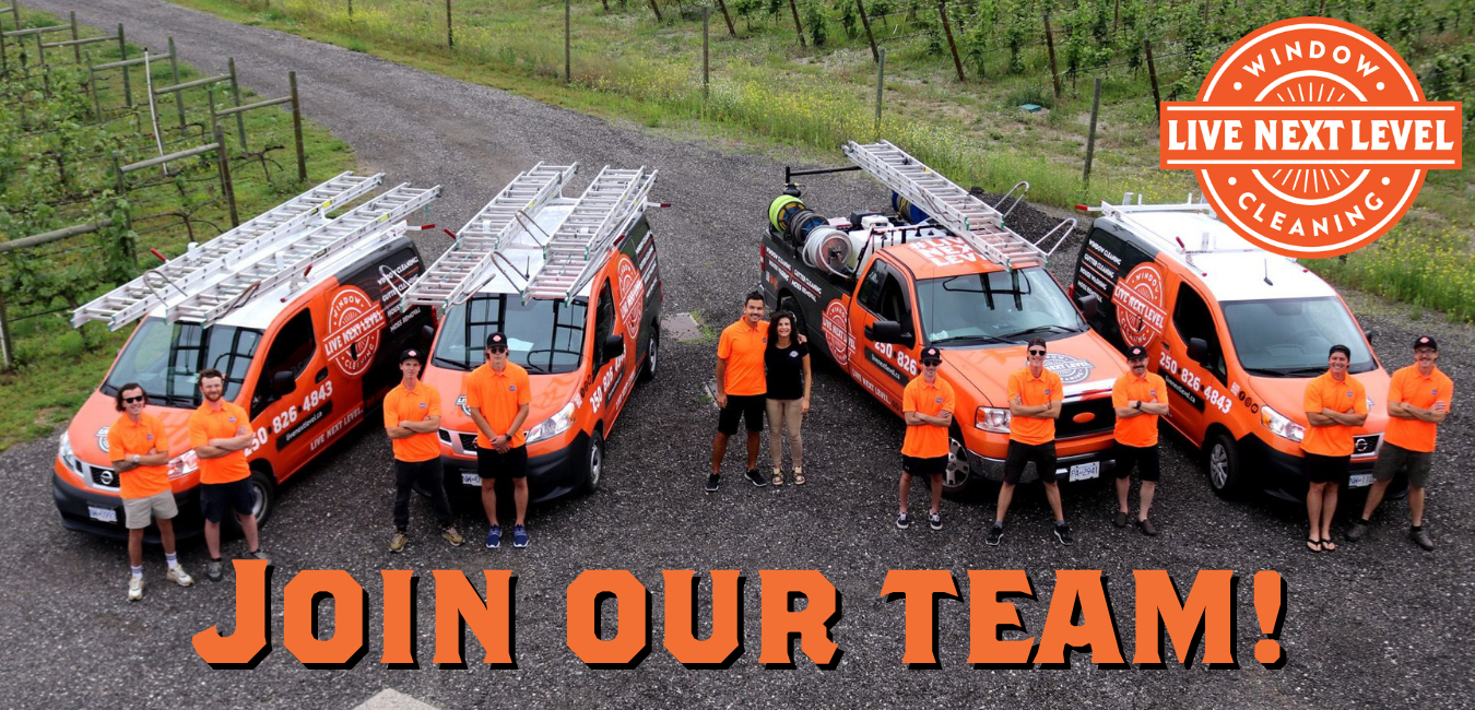 Join our team!