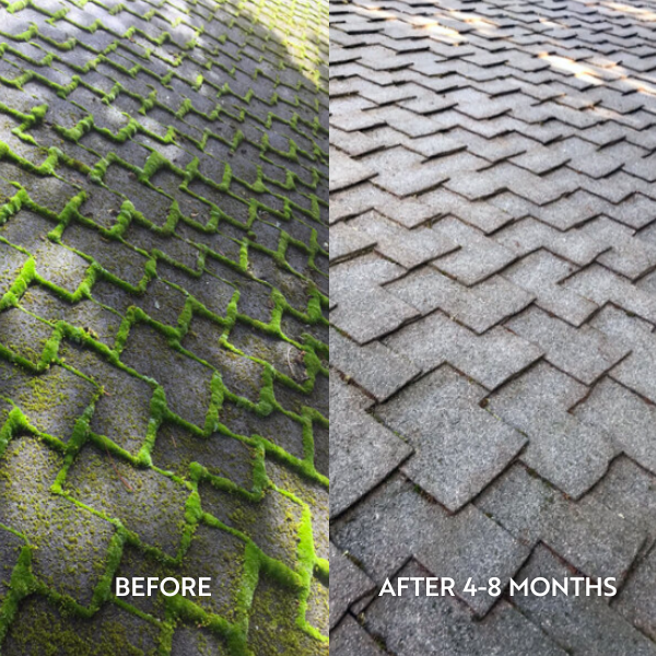 Kelowna roof moss removal before and after