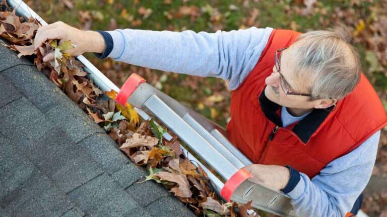 How Often Should You Clean Your Gutters