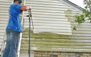 A person on a ladder uses a pressure washer to clean mold and dirt from the exterior siding of a house, revealing a clean white surface.