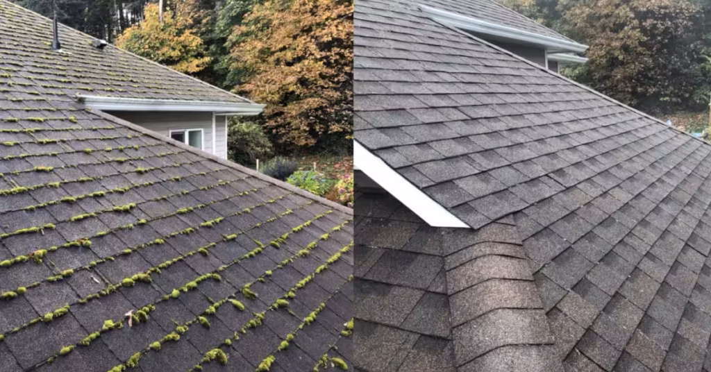 before and after results of moss removal by live next level