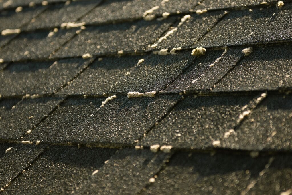 Minutes after treatment: the moss on the shingles has turned white as it dies