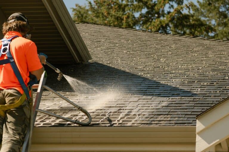 Technician applying a low-pressure liquid moss treatment to an asphalt shingle roof