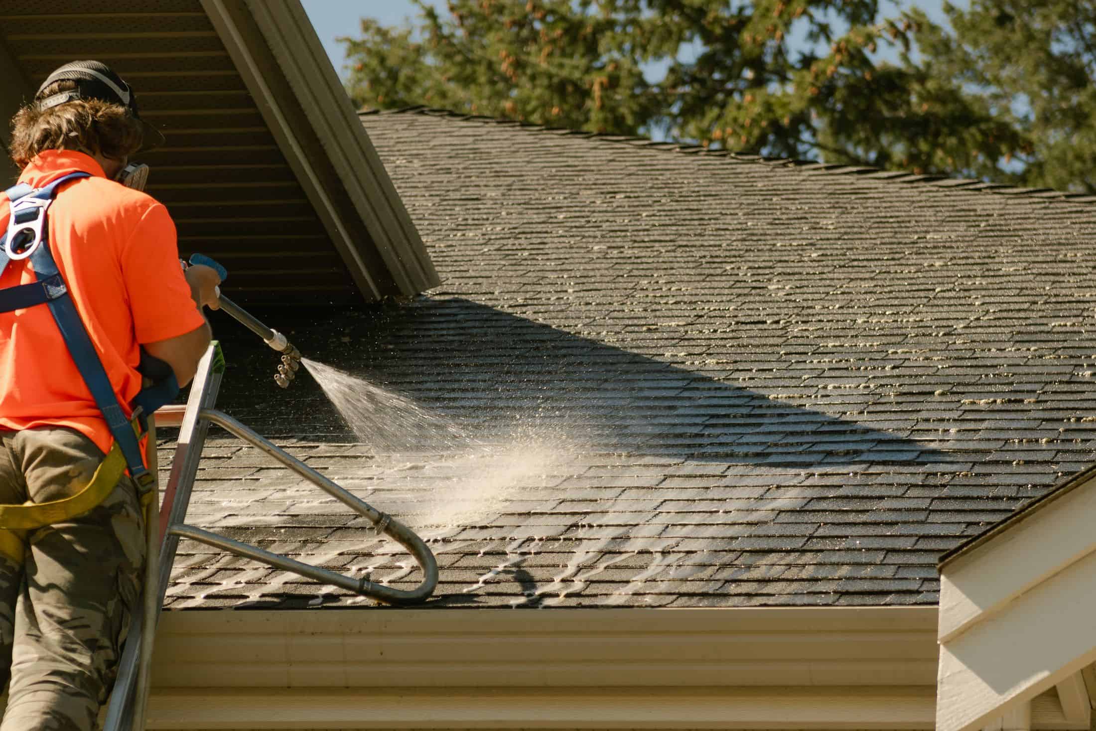 Technician on a ladder applying a low-pressure moss treatment to an asphalt shingle roof